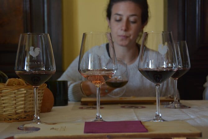 Private Chianti with Lunch Half Day from Florence - Florence to Panzano in Chianti: Renaissance cellars and Sangiovese at the center