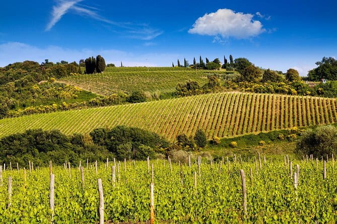 Private Classic Wine Tour in Chianti from Florence - Key Highlights You’ll Feel the Moment You Book