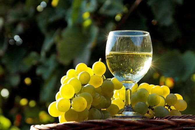 Private Classic Wine Tour in Chianti from Florence - Private Chianti Wine Days: Why This Format Feels Better Than Group Hopping