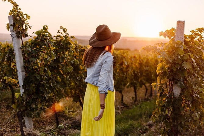 Private Classic Wine Tour in Chianti from Florence - Three Winery Tastings: The Value Behind “Only Three Stops”