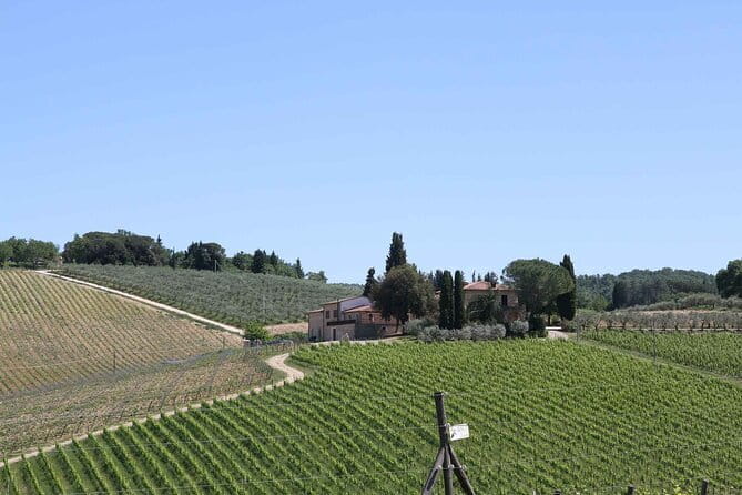 Private daytrip to Siena & Chianti wine country, with wine tasting from Florence - Fattoria di Montecchio: tasting Chianti styles and olive oil, not just photos