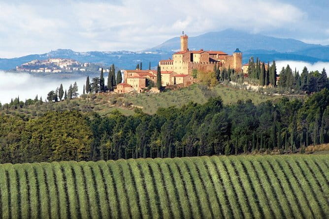 PRIVATE Full-Day Brunello Wine experience from Florence - Montalcino town time: medieval streets plus the best kind of wine geography