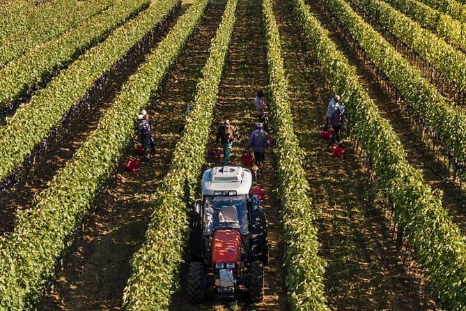 PRIVATE Full-Day Brunello Wine experience from Florence - Enoteca la Fortezza di Montalcino: the fortress setting and a quick culture break