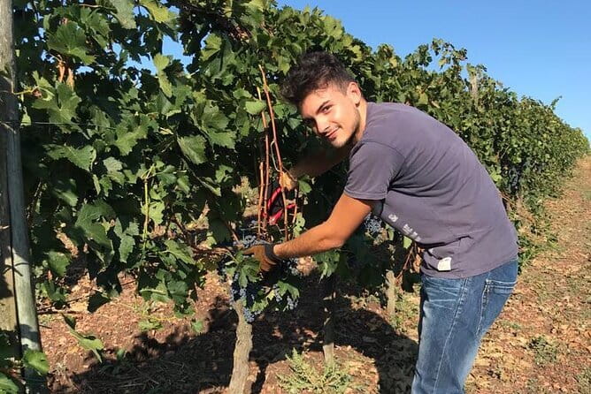 PRIVATE Full-Day Wine Experience in Chianti Classico. - From Florence: How the Schedule Really Works