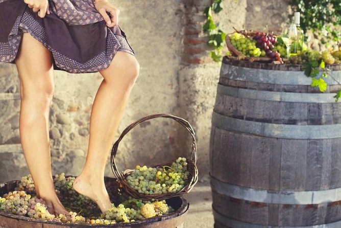 Private Grape stomping in Chianti from Florence - From Florence to the Chianti Hills: what the day trip really feels like
