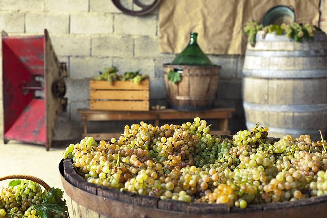 Private Grape stomping in Chianti from Florence - Castellina in Chianti: the payoff after the farm