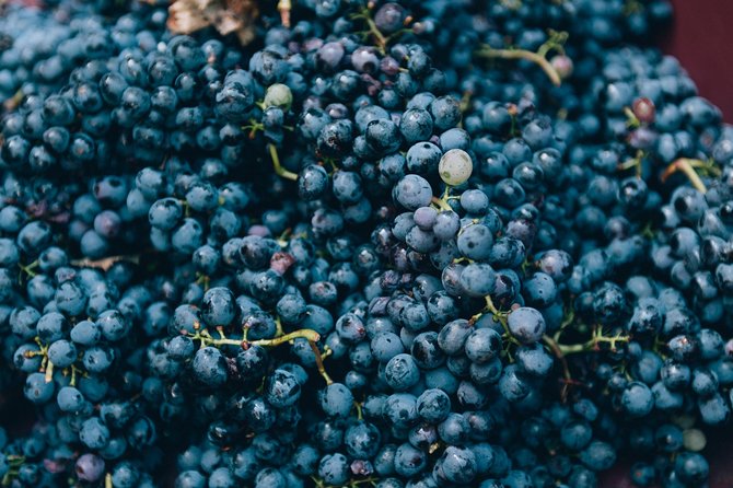 Private Grape stomping in Chianti from Florence - What to wear for stomping (and what to expect if it rains)