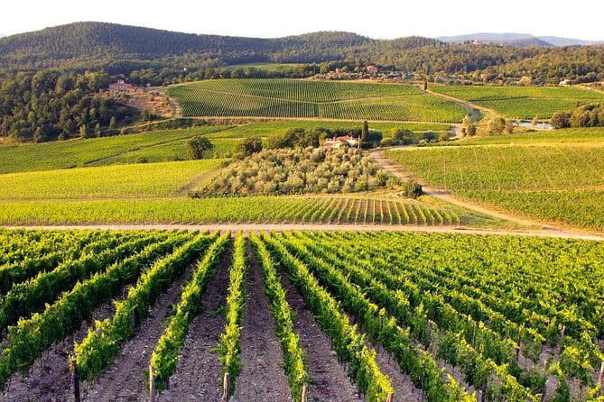 Private guided tour: Siena San Gimignano and Chianti - Key highlights worth booking for