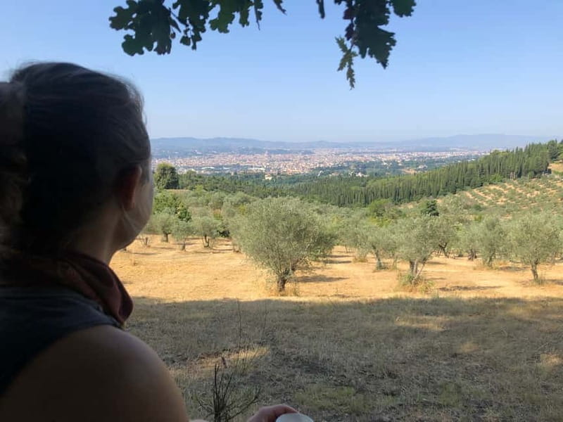 Private Hiking Florence Tour with Wine and Lunch or semi-pri - Wine tasting and lunch on a farm near Fiesole