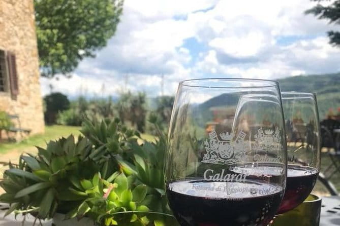 Private Self-Guided E-Bike Ride in Tuscany with Vineyard Visit - Stop 2: the vineyard near the Arno for wine and a picnic moment