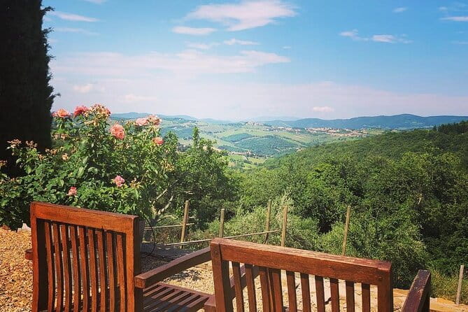 Private Top Brunello Montalcino Wine Tour & Food Pairing Session - Brunello and Rosso di Montalcino: How to Taste Like You Mean It