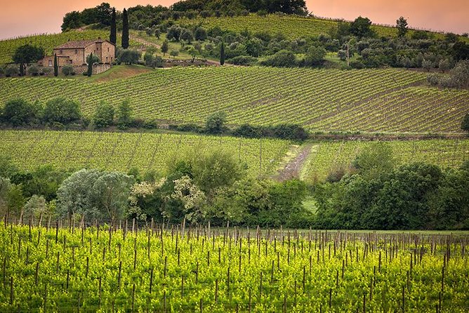 Private tour Brunello di Montalcino and Nobile di Montepulciano wine experience in Tuscany - How This Private Tuscany Wine Tour Fits Together
