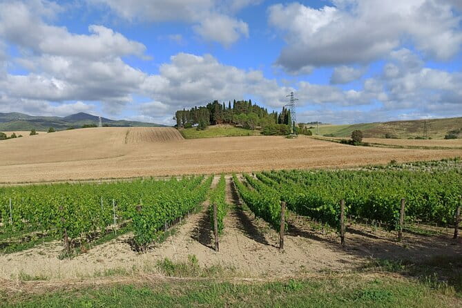 PRIVATE TOUR: Chianti Afternoon tour with visit to 2 wine farms - The Via Chiantigiana Drive: Where the Photos Keep Happening