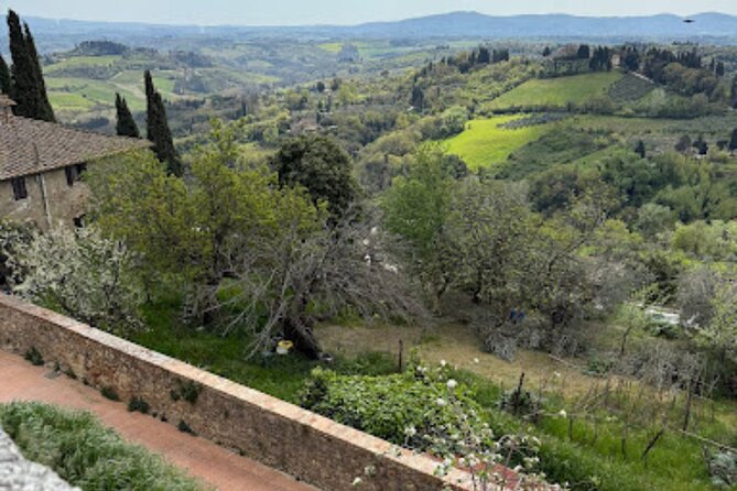 Private Tour- Chianti By Minivan At Sunset - Why Chianti at sunset beats the earlier tours