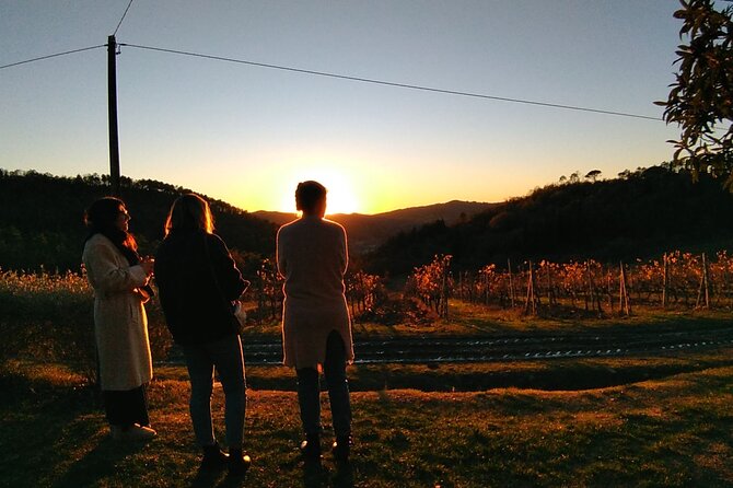 Private Tour- Chianti By Minivan At Sunset - Optional traditional dinner: the slow Tuscan finish