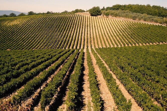 Private Tour: Chianti Winery, Montefioralle, and Greve in Chianti - Montefioralle: the hilltown stop that makes the drive feel worth it