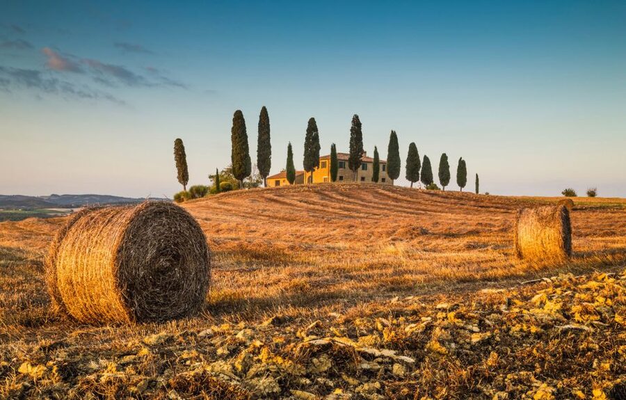 Private Tour From Florence to Cortona and Montepulciano - Key highlights I’d plan around