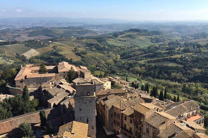 Private Tour in San Gimignano - Key Highlights Worth Planning For