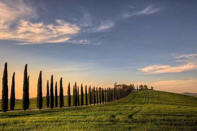 Private Tour: Medieval Val d'Orcia by Minivan from Florence - Key things I think you’ll care about