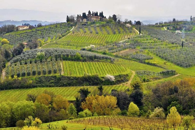 Private Tour Tastes of Tuscany: Pisa, Siena, San Gimignano and Chianti - Key Things to Know Before You Go