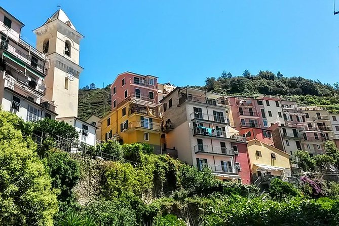 Private Tour to Cinque Terre from Florence - Price and value: what you’re paying for at about $994 per group