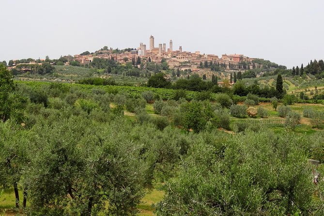 Private Tour to Siena and San Gimignano with Wine Tasting & Lunch - Key Things to Know Before You Go