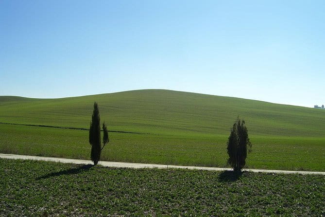 Private Tour to Siena and San Gimignano with Wine Tasting & Lunch - Private Door-to-Door Pickup From Florence (and Livorno)