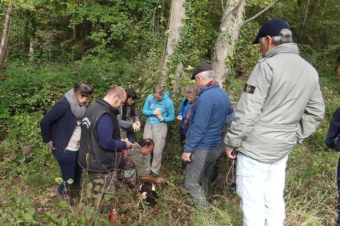 Private Truffle Hunting in Chianti from Florence - Transport in the countryside: comfortable first, then real-access off-road