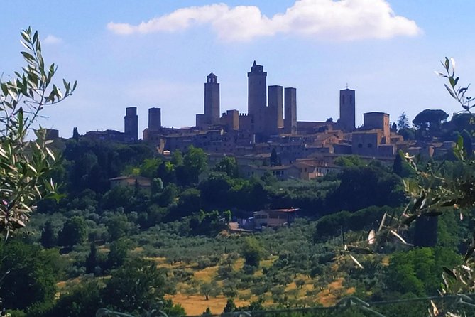 Private Tuscan Cooking Class And Wine Tasting in Radda in Chianti - Price and value: what $166 really buys you