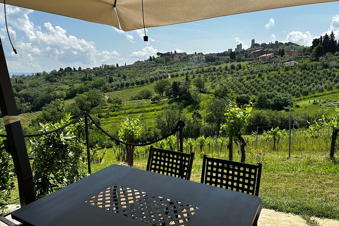 Private Tuscan Lunch with Wine & Evo oil tasting in the Vineyard - Key things I’d watch for (before you go)