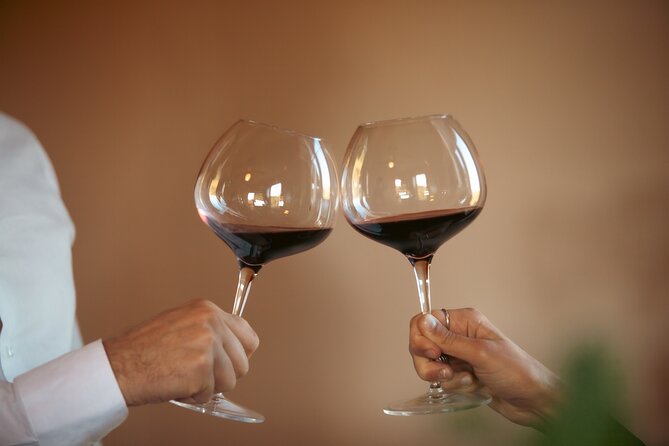 Private Tuscan Lunch with Wine & Evo oil tasting in the Vineyard - Comfort, seating, and how interactive the host will be