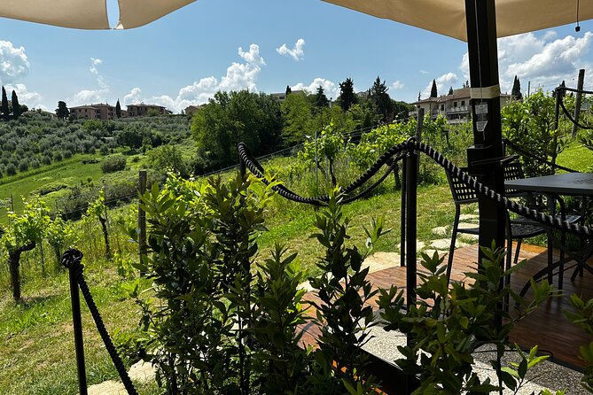 Private Tuscan Lunch with Wine & Evo oil tasting in the Vineyard - Biodynamic farming talk: vines and olives, not just wine trivia