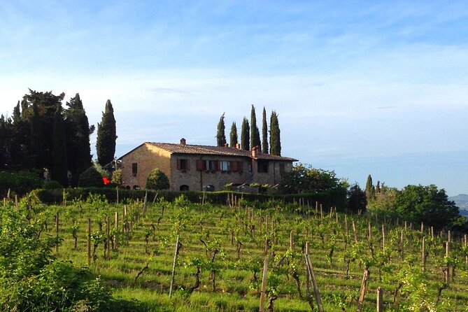 Private Tuscan meal with Wine and EVO oil tasting - Tuscan lunch you’ll actually remember: what’s on the table