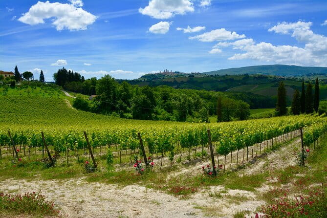 Private Tuscany Day Tour: San Gimignano and Chianti Wine Region from Florence - Chianti on Strada Statale 222 Chiantigiana: Time for Wineries and Real Rural Tuscany