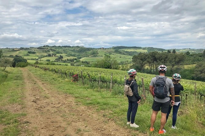 Private Tuscany Sunset Bike Tour - The ride itself: vineyards, olive groves, and built-in photo breaks