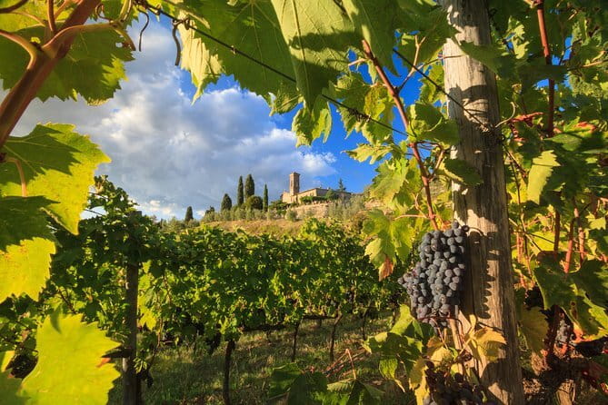 Private Tuscany Tour from Florence Including Siena, San Gimignano and Chianti Wine Region - Key highlights worth clocking before you go