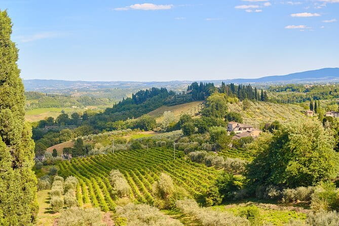 Private Tuscany Tour from Florence Including Siena, San Gimignano and Chianti Wine Region - Mercedes door-to-door comfort and a driver who sets the pace