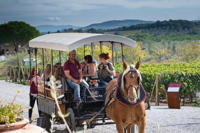 Private Tuscany Tour from Florence Including Siena, San Gimignano and Chianti Wine Region - San Gimignano’s 13 towers in an hour: Cisterna Square and gelato breaks