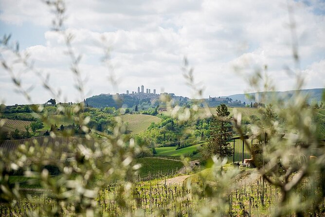 Private Tuscany Tour: Siena, San Gimignano and Pisa from Florence - Getting Back to Florence With Food in Your Memory
