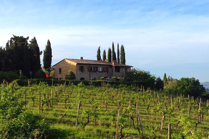 Private Wine and Extra Virgin Olive Oil Tasting - Who this tasting suits best (and who should pass)