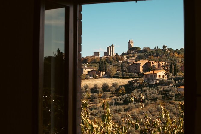 Private Wine & Evo Oil Tasting with Saffron Meal - Pairings and pacing: why the 1.5 hours work