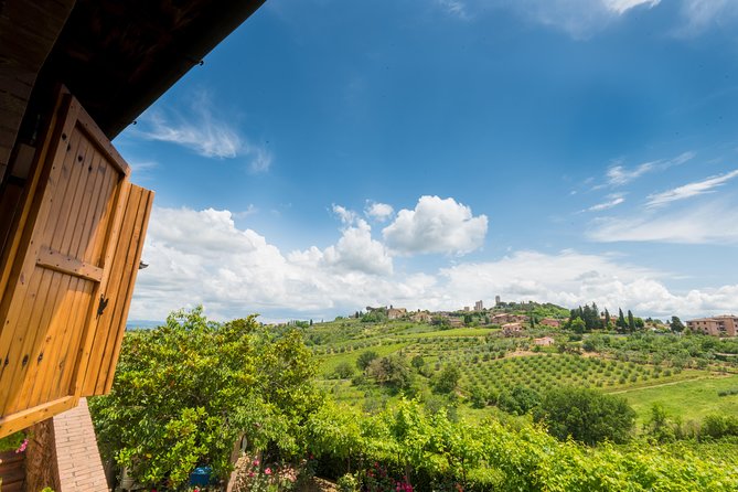 Private wine & EVO Oil Tasting with Tuscan Meal - The Tasting: Organic Wine Meets EVO Oil and Balsamic