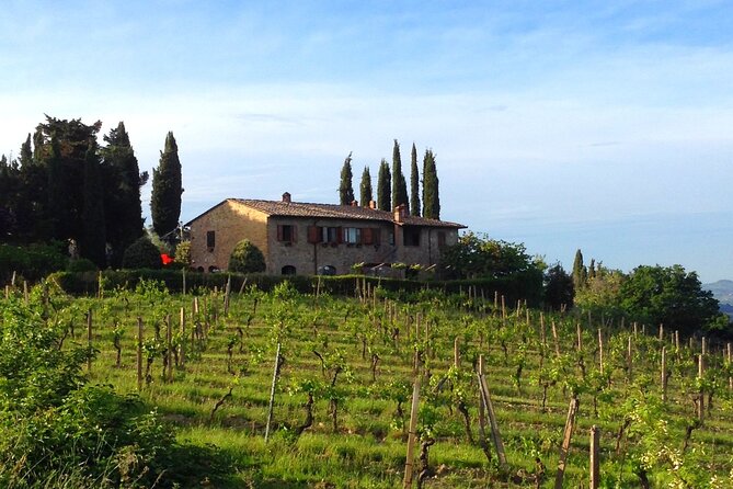 Private wine & EVO Oil Tasting with Tuscan Meal - The Host Factor: When Guidance Makes the Difference