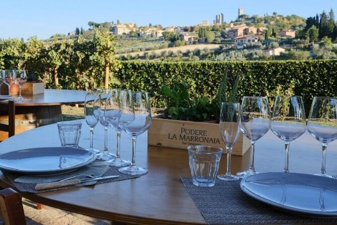 Private wine & EVO Oil Tasting with Tuscan Meal - Views, Comfort, and Timing in San Gimignano