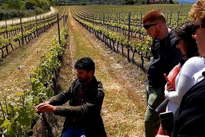 Private Wine Safari! Off-Road, Lunch in Winery in Tuscany! - Tiny Group Energy: Up to 5 People Changes Everything