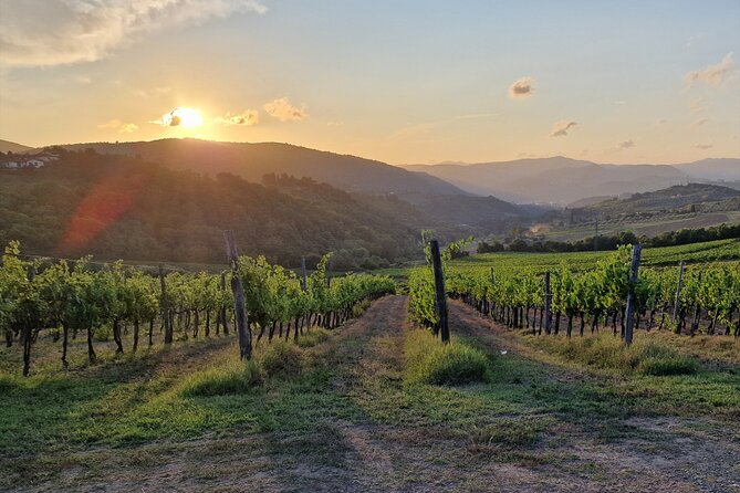 Private Wine Tour best of Chianti Tuscany 6 hours Limo Service - Why a private limo driver beats DIY Chianti roads