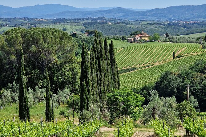 Private Wine Tour best of Chianti Tuscany 6 hours Limo Service - Stop 1: Poggio Amorelli for lunch, wine tasting, olive oil, and balsamic
