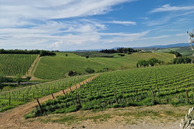 Private Wine Tour best of Chianti Tuscany 6 hours Limo Service - Price and what you’re really paying for