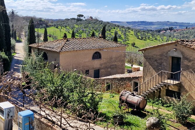 Private Wine Tour Top Wineries, Limousine Service, Florence Tours - Poggio Amorelli in Castellina in Chianti: lunch and full tasting option