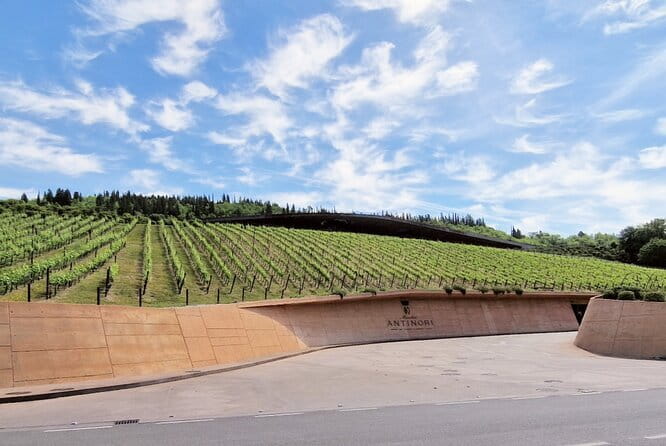 PRIVATE WINE TOUR TUSCANY Chianti Wineries, Expert English driver - The stops that shape the day in Chianti Classico
